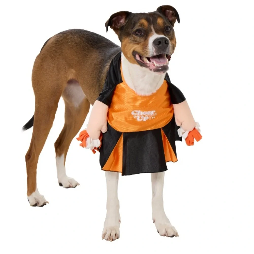 Cheerleader Walking Pet Dog Costume Adorable! New! Size Large